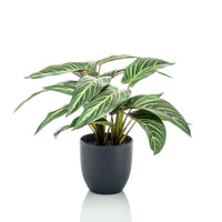 Calathea zebrina artificiel avec pot décoratif - Plantes artificielles
