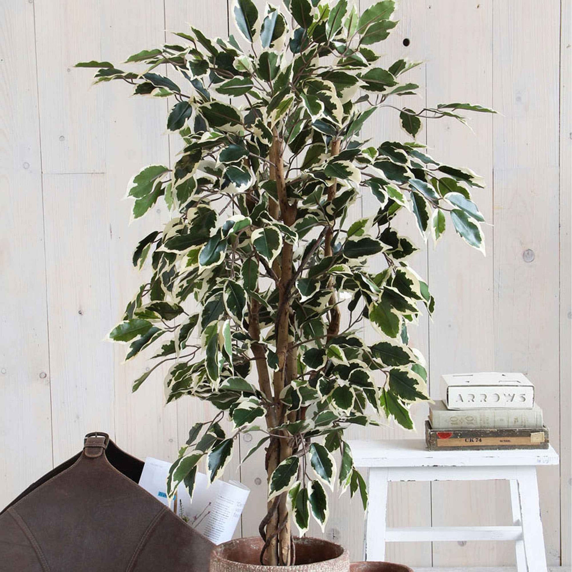 Mica Ficus ‘Benjamina Hawaii’ artif. - Plantes artificielles