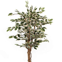 Mica Ficus ‘Benjamina Hawaii’ artif. - Plantes vertes artificielles