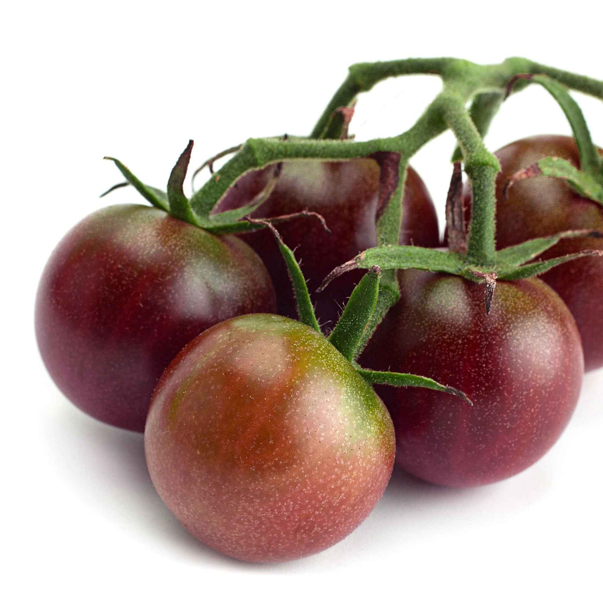 Sac-jardinière Tomates incl. sac en jute - Graines
