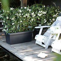 Elho pot de fleurs Green basics garden rectangulaire noir - Pot pour l'extérieur - Grands pots de fleurs